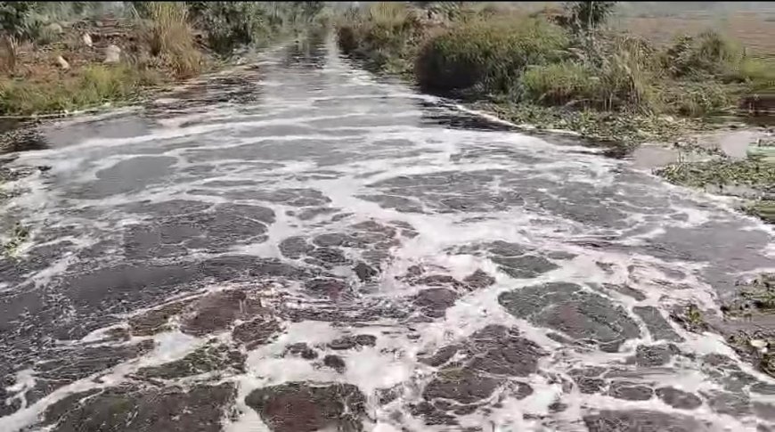 एफएस ब्रांच का पानी नहरों के बजाय खारी नदी में व्यर्थ बहाया जा रहा