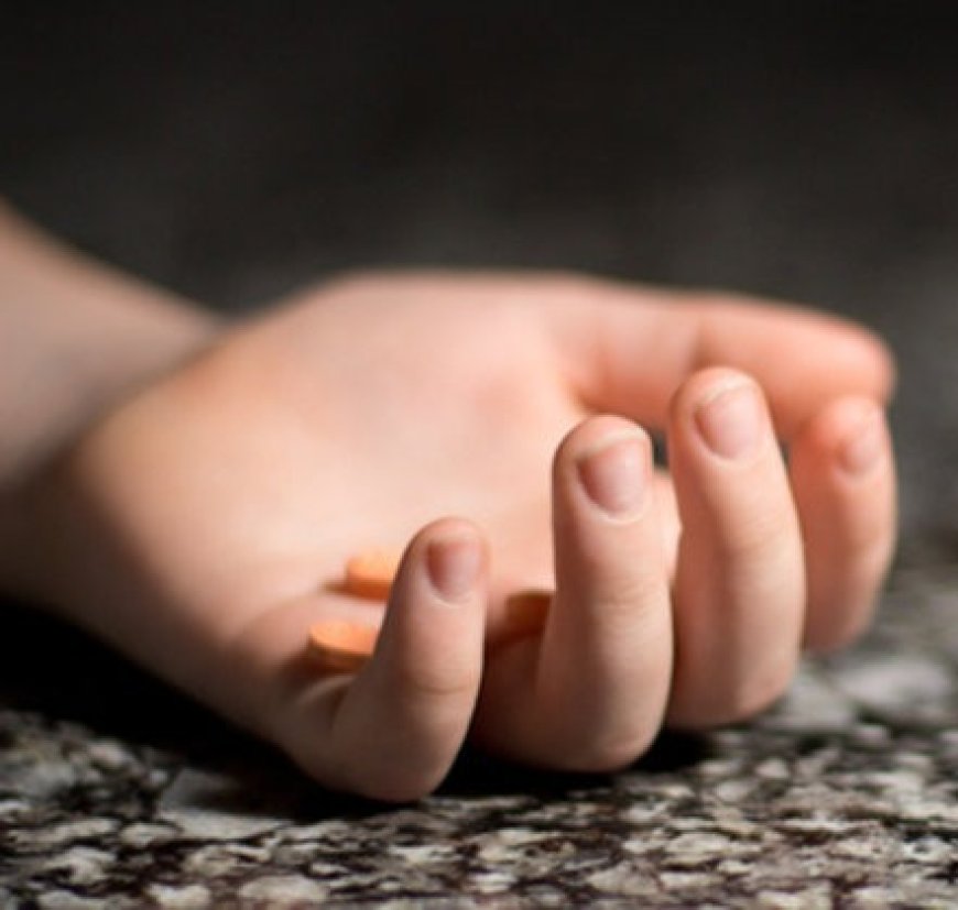 ताजमहल देखने आई विदेशी महिला पर्यटक की अचानक मौत