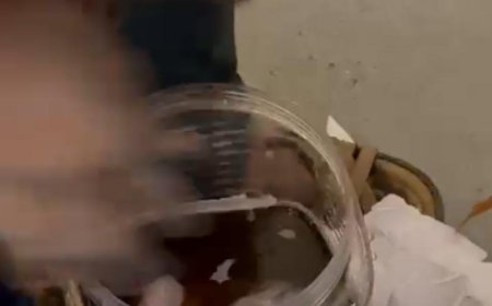 बंद डिब्बे में नवजात का शव, लखनऊ एयरपोर्ट पर सिहर उठे सभी