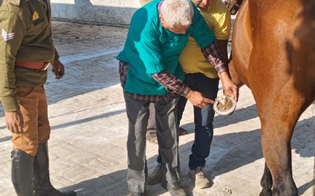 प्रयागराज महाकुंभ जाने वाले पुलिस के घोड़ों की भी सेहत जांची जा रही