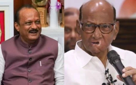 शरद पवार को जन्मदिन की बधाई देने पहुंचे अजित पवार