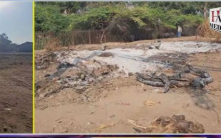 सीईसी के कड़े रुख के बाद ही दर्ज हुआ मुकदमा, गधापाड़ा मालगोदाम से पेड़ काटने का मामला   