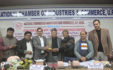 आगरा में 800 लीज लाइन फाइबर केबल पर काम कर रहा बीएसएनएल