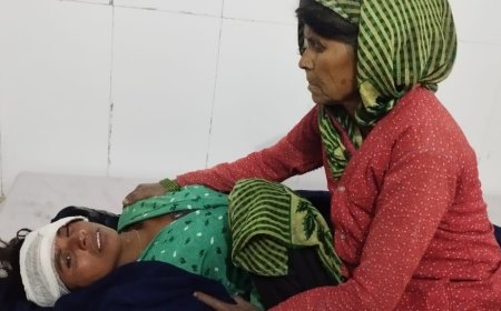 सीकरी चार हिस्सा में सियार का छह लोगों पर हमला, घायल      