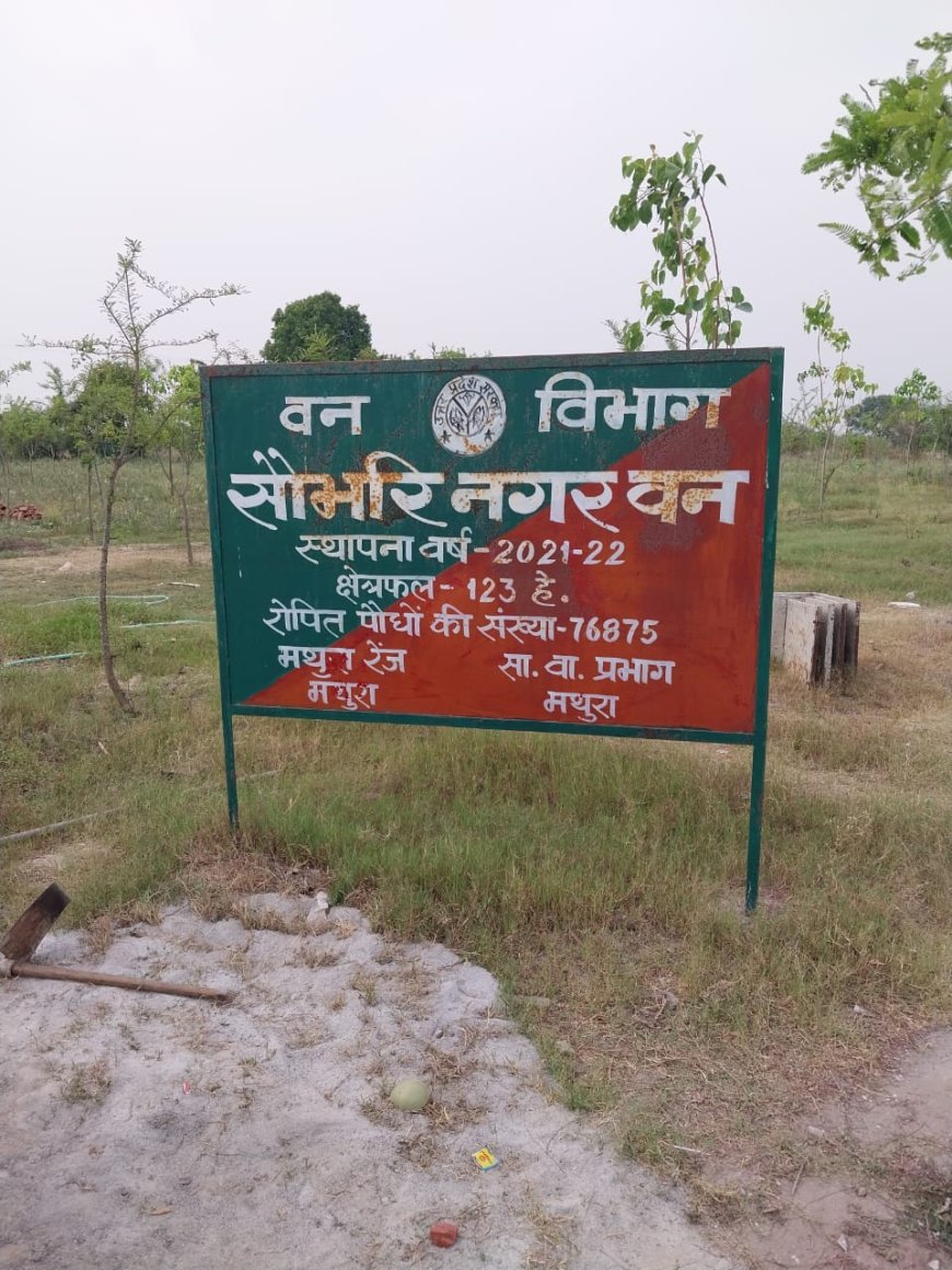 वृंदावन में उम्मीद की एक किरणः यमुना किनारे आकार लेने लगा एशिया का सबसे बड़ा सिटी फॉरेस्ट