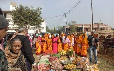 नये साल पर गायों को अर्पित किए 56 भोग