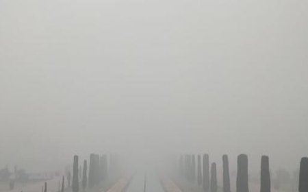 कोहरे में अदृश्य हुआ ताज, ट्रेनें घंटों लेट, वाहन भी रेंग-रेंग कर चल रहे