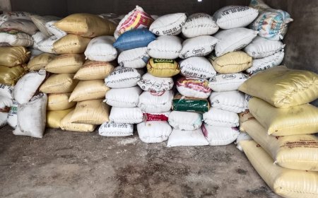 अछनेरा में राशन माफिया के गोदाम पर छापा, 300 बोरी चावल जब्त, एक गिरफ्तार   