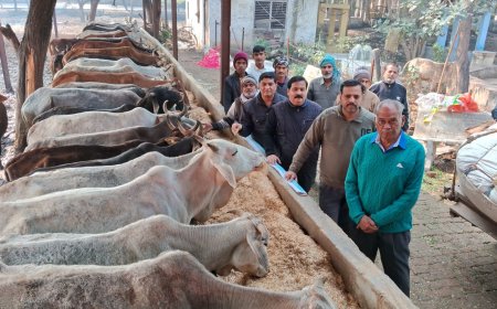 लॊयंस आकाश ने गौशाला में तीन ट्रॊली भूसा पहुंचाया