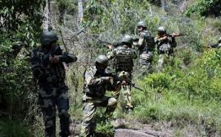 एक करोड़ के इनामी चलपति समेत 20 नक्सली मुठभेड़ में ढेर