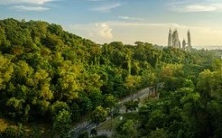 मालगोदाम पर 2.3 हेक्टेयर में सिटी फॊरेस्ट बना तो यह आगरा के लिए वरदान होगा   