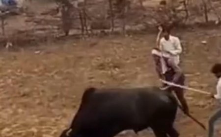 गौवंश को बुरी तरह पीटने में 11 के खिलाफ केस दर्ज