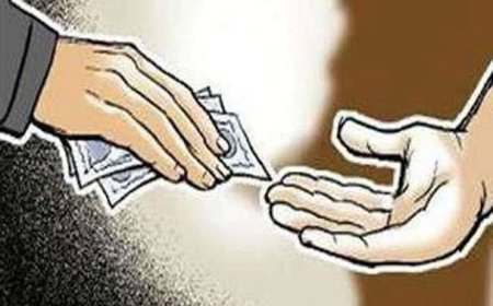 सिंचाई विभाग का जिलेदार और मुंशी रिश्वत लेते रंगे हाथ गिरफ्तार