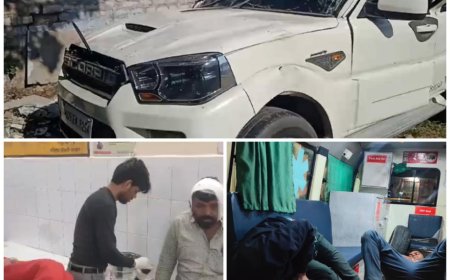 महाकुम्भ से लौटती स्कॊर्पियो सीकरी में गौवंश से टकराकर पलटी, दो मरे, छह घायल