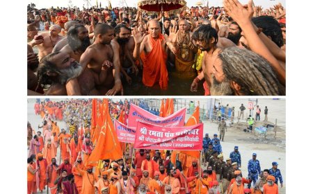 कुंभ भगदड़ में 30 लोग मरे, न्यायिक जांच की अधिसूचना जारी 25-25 लाख का मुआवजा