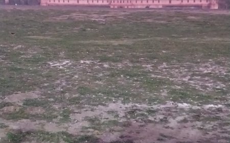 केजरीवाल के मगरमच्छी आंसू यमुना में जलस्तर नहीं बढ़ा सकते