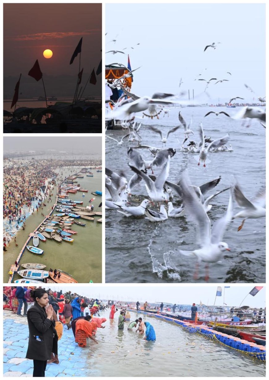 महाकुंभ की भव्यता देख पाकिस्तानी भी तारीफ करने को  हुए मजबूर