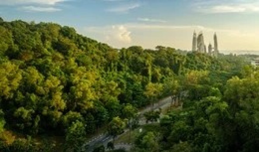 मालगोदाम पर 2.3 हेक्टेयर में सिटी फॊरेस्ट बना तो यह आगरा के लिए वरदान होगा   