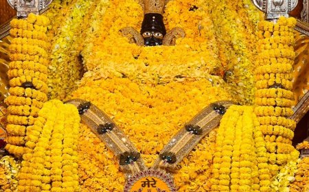 वसंत पर खाटू नरेश के पीतांबर दर्शन देख भक्त हुए मंत्रमुग्ध   