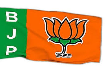 भाजपा जिलाध्यक्ष तय हो चुके, घोषणा अब कभी भी संभव