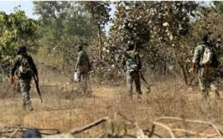 छत्तीसगढ़ में सुरक्षाबलों के साथ मुठभेड़ में 31 नक्सली ढेर, दो जवान शहीद