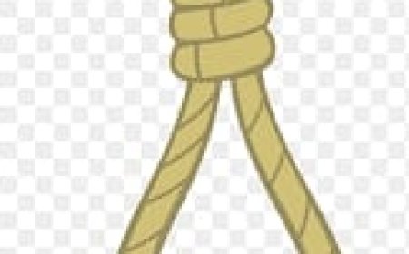 बाह के भरतार में युवक ने पंखे से लटककर आत्महत्या कर ली