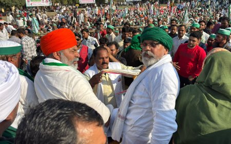 आलू खोद कर कमिश्नरी पर डेरा डाल दें किसान, हम भी मौजूद रहेंगे- टिकैत