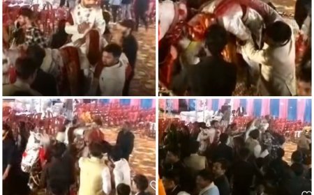 एमपी के श्योपुर में दूल्हे को घोड़ी पर बैठे-बैठे पड़ा हार्ट अटैक, मौत