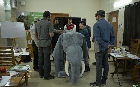 घायल बेबी हाथी बानी के लिए विदेशों से विशेषज्ञ बुलाए गए   