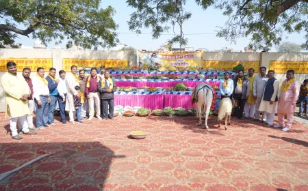 गायों को खिलाए 56 भोग, रसगुल्ले और मालपुए चाव से खाए