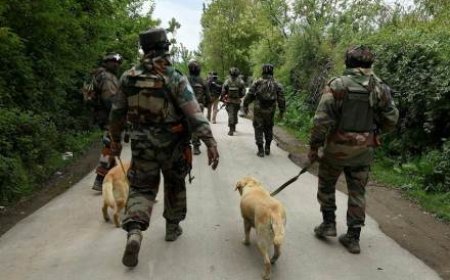 जम्मू-कश्मीर के सुंदरबनी में सेना के वाहन पर आतंकियों की फायरिंग