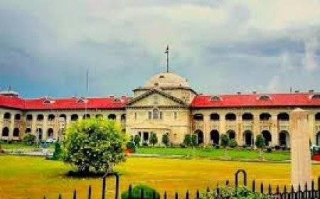 हाईकोर्ट ने संभल की मस्जिद में रंगाई-पुताई की अनुमति नहीं दी