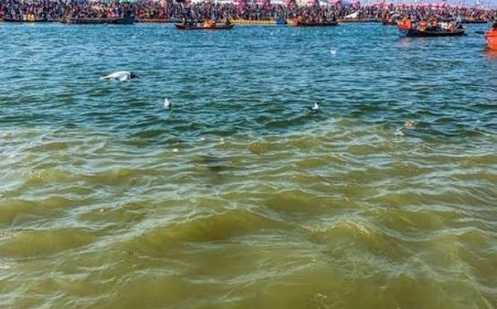 योगी सरकार ने आगरा भेजा संगम जल, कल सुबह स्टेडियम से बंटेगा