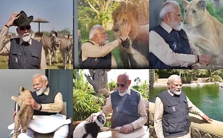 गोद में उठाया, दूध पिलाया, शेर के बच्चों संग पीएम मोदी का प्यार