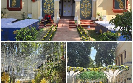 बसंत पंचमी उत्सव में दयालबाग की आकर्षक सजावट ने मन मोह लिया