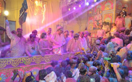 रंगभरनी एकादशी पर भक्तों ने श्याम बाबा संग खेली एक टन गुलाल से होली
