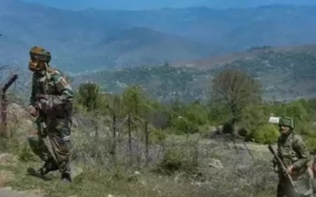 नौशेरा सेक्टर में सीमा पार से फायरिंग में सेना का जवान घायल   