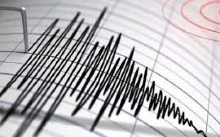 कारगिल, कश्मीर और अरुणाचल में भूकंप के झटके