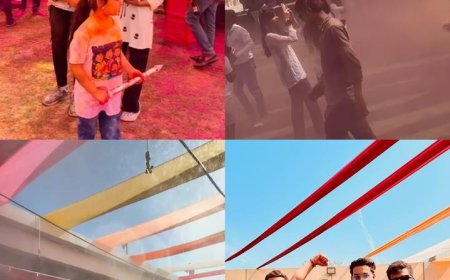 होली पर इंटरनेशनल डीजे के साथ जमकर थिरके कपल्स