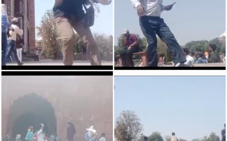 ताजमहल के रॉयल गेट पर मधुमक्खियों के हमले का कई पर्यटक बने शिकार