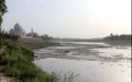 सुप्रीम कोर्ट ने राष्ट्रीय स्वच्छ गंगा मिशन को नालों की परियोजना को तुरन्त स्वीकृति देने के दिए आदेश