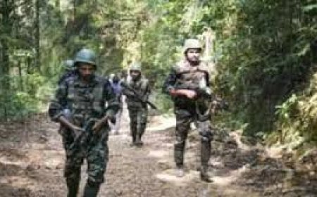 छत्तीसगढ़ में 30 नक्सली ढेर, बीजापुर में 26 मारे गए, ऑपरेशन है जारी