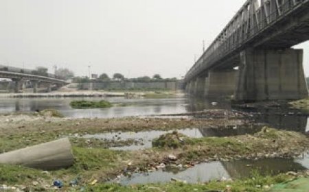 22 मार्च वर्ल्ड वाटर डेः सूखे आंसू बहा रहा ताज, यमुना बैराज बनाओ, तालाब बचाओ!   