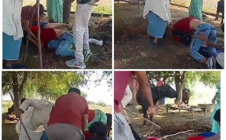 आगरा में ननद-भाभी में द्वंद्वयुद्ध तो मां-बाप और बेटे के बीच चलीं लाठियां