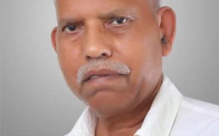 वरिष्ठ पत्रकार वीरेंद्र सेंगर नहीं रहे