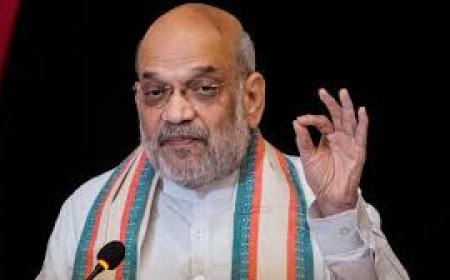 ये देश कोई धर्मशाला नहीं कि कोई जब चाहे आकर रहे- अमित शाह