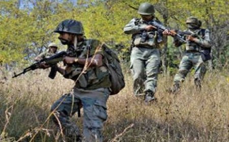 सुकमा के जंगल में सुरक्षा बलों ने 16 नक्सली मार गिराए