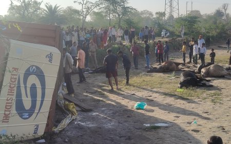 आगरा के सांथा में गौवंश से भरा कंटेनर पलटा, नौ गौवंश मृत मिले, तस्कर फरार