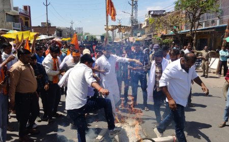 एबीवीपी ने प्रदर्शन कर फूंका सपा सांसद रामजीलाल सुमन का पुतला