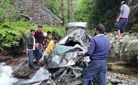 कुल्लू के मणिकर्ण में दर्दनाक हादसा, गाड़ियों पर पेड़ गिरने से छह मरे